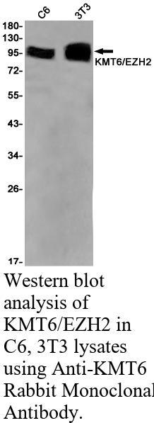 生物相关数据
