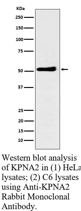 生物相关数据