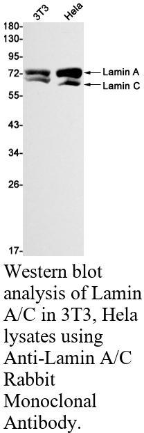 生物相关数据