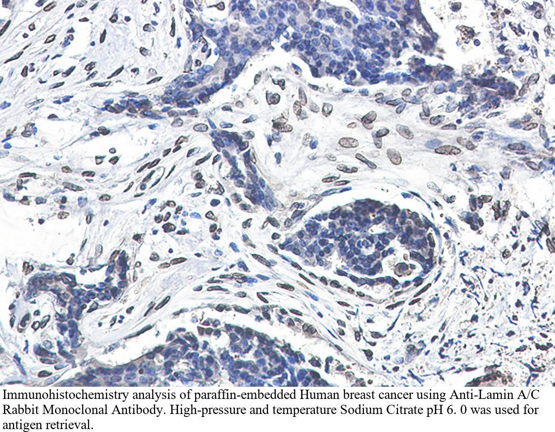 生物相关数据