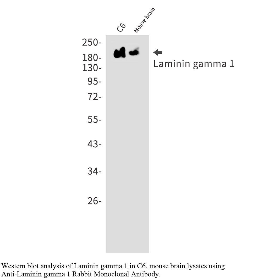 生物相关数据