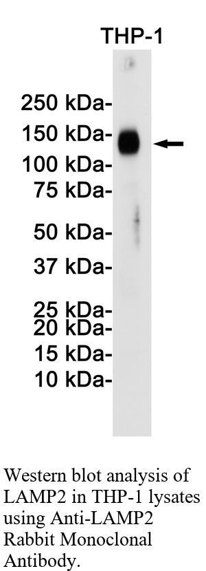 生物相关数据