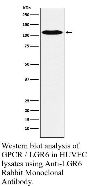 生物相关数据