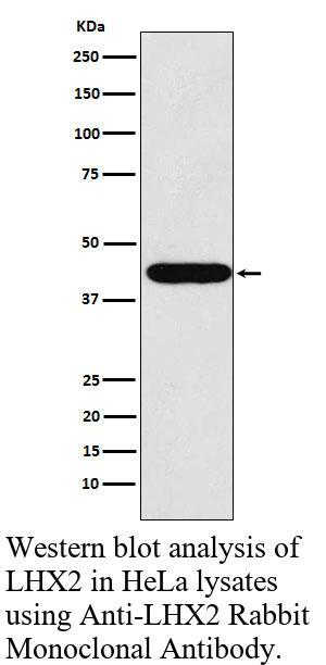 生物相关数据