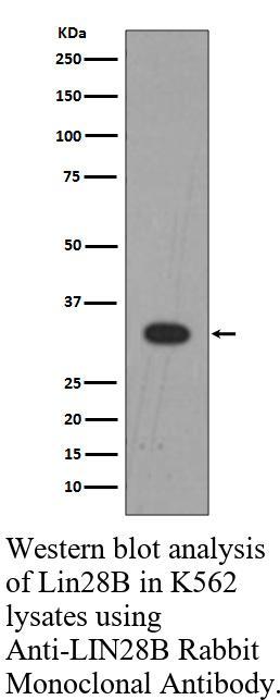 生物相关数据