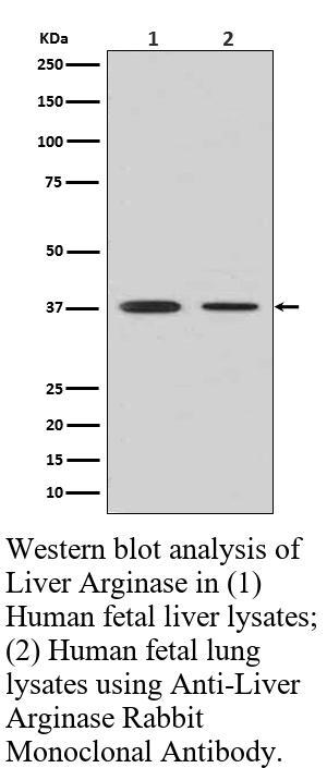 生物相关数据