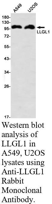 生物相关数据