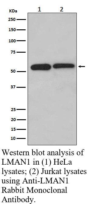 生物相关数据