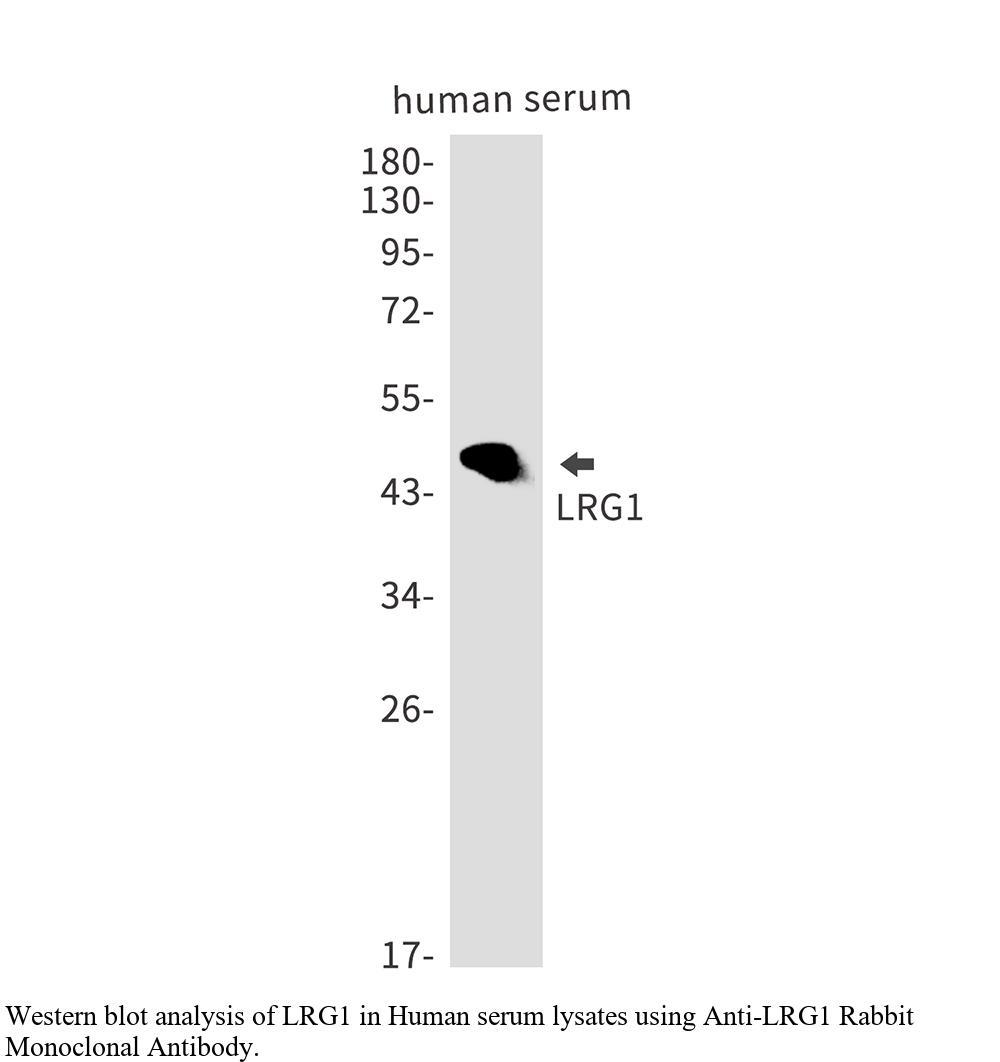 生物相关数据
