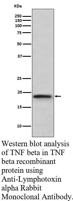 生物相关数据