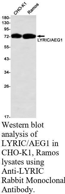 生物相关数据