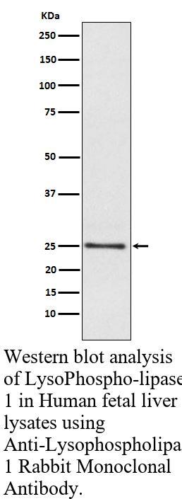 生物相关数据