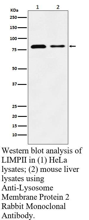 生物相关数据