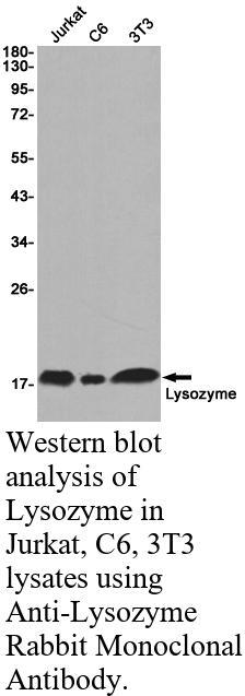 生物相关数据