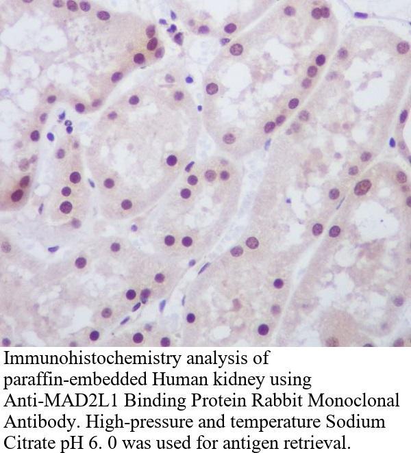 生物相关数据