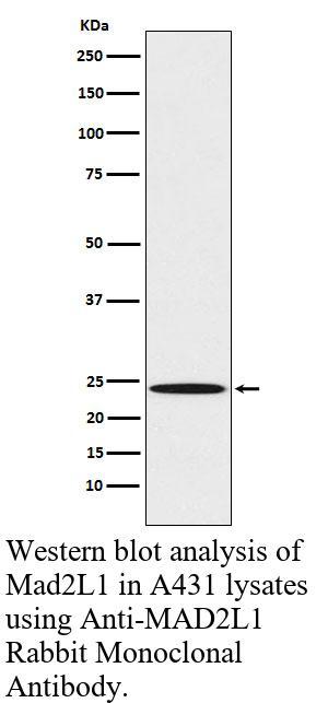 生物相关数据