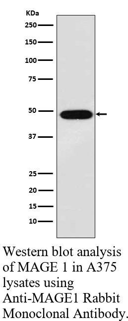 生物相关数据
