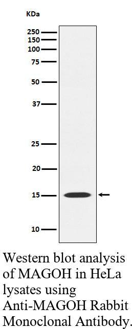 生物相关数据