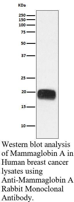 生物相关数据