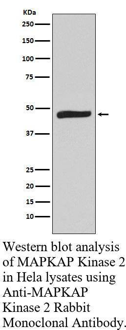 生物相关数据