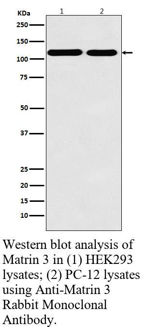 生物相关数据