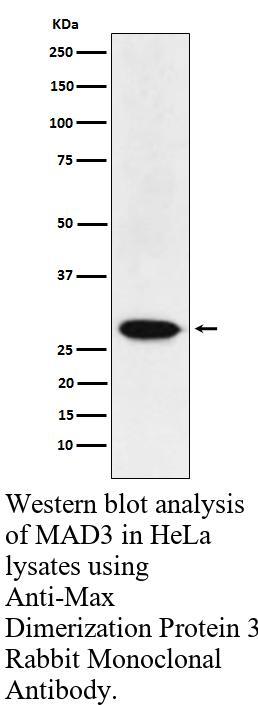 生物相关数据