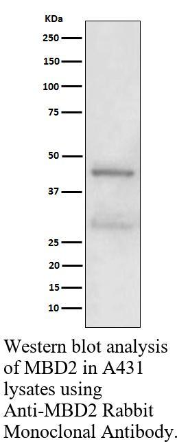生物相关数据