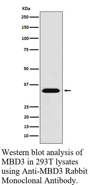 生物相关数据