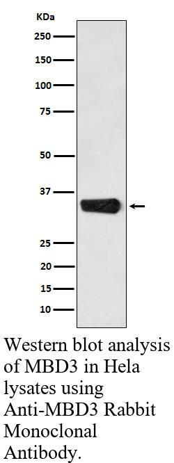 生物相关数据