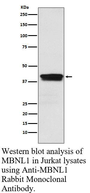 生物相关数据