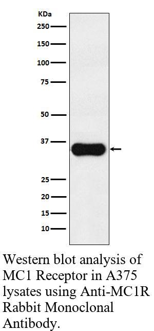 生物相关数据