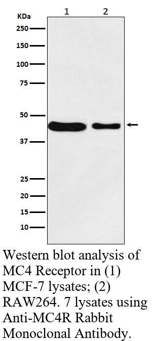 生物相关数据
