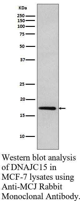 生物相关数据