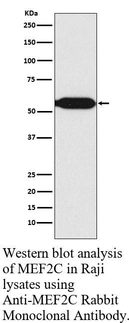 生物相关数据