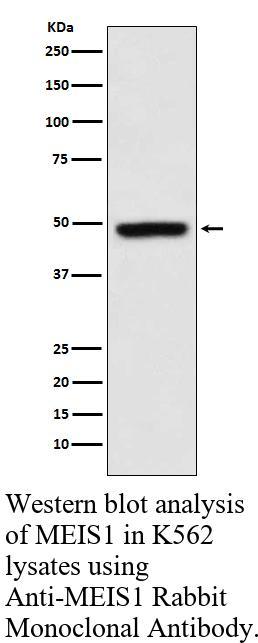 生物相关数据