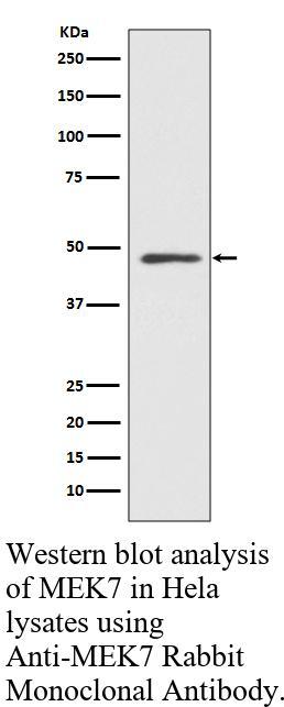 生物相关数据