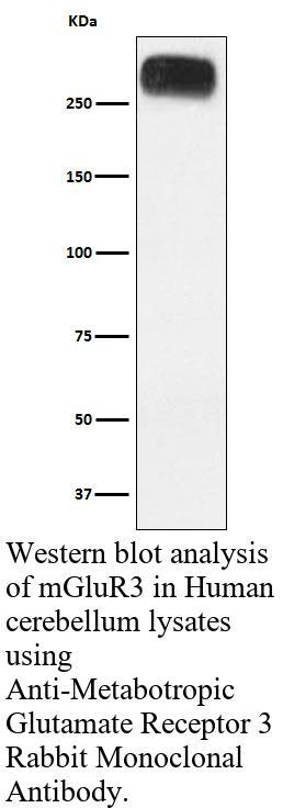 生物相关数据