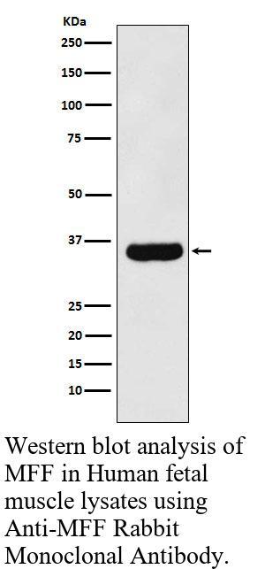 生物相关数据