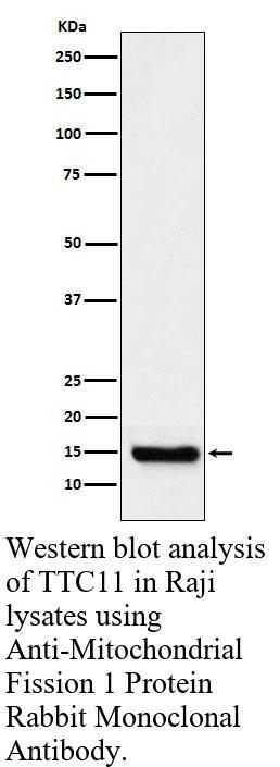 生物相关数据