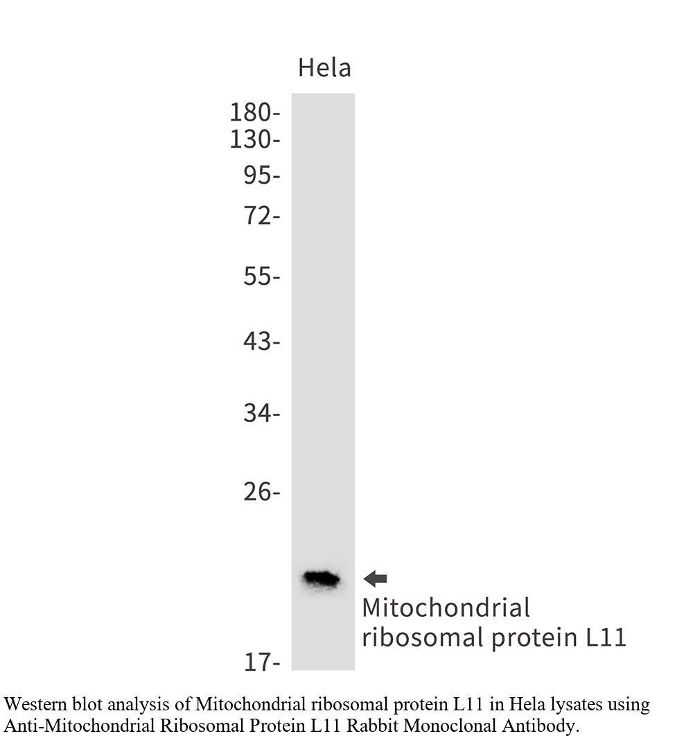 生物相关数据