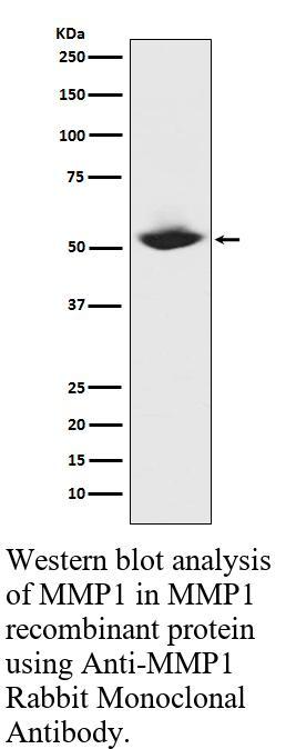 生物相关数据