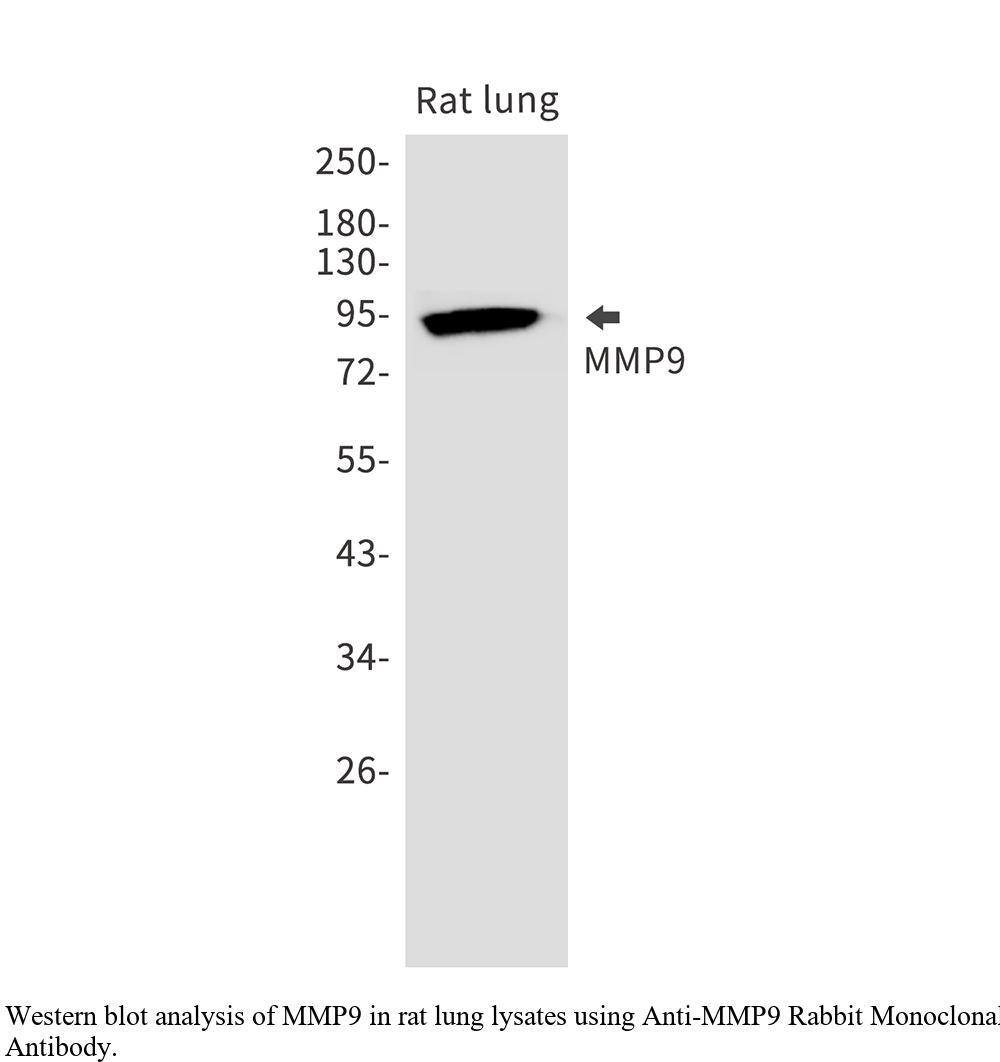 生物相关数据