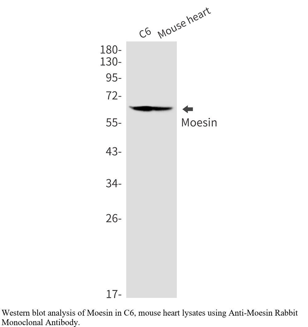 生物相关数据