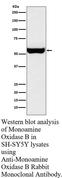 生物相关数据