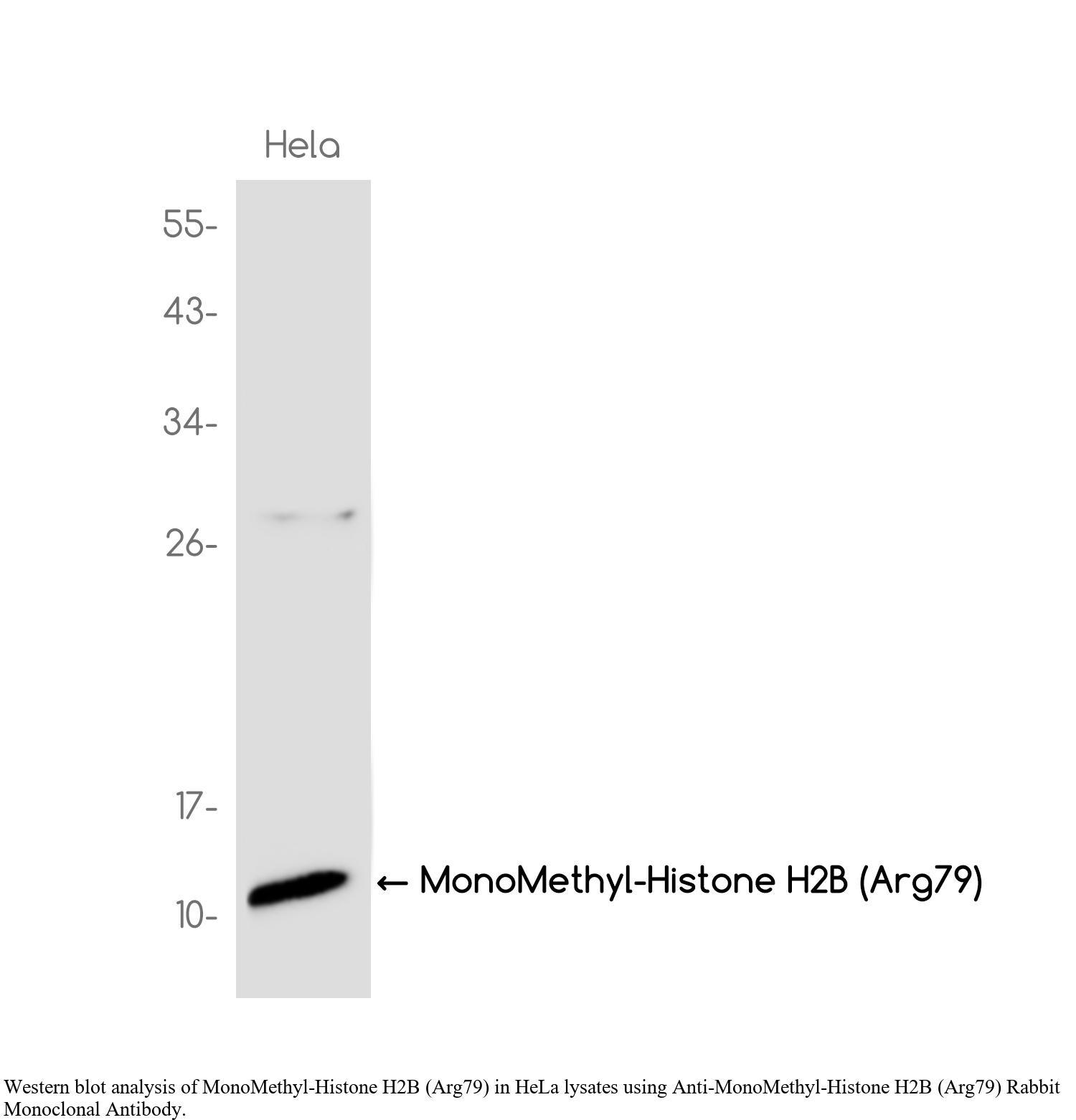 生物相关数据