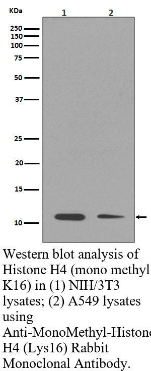 生物相关数据