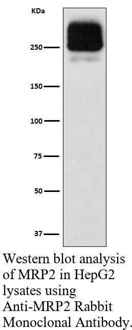 生物相关数据