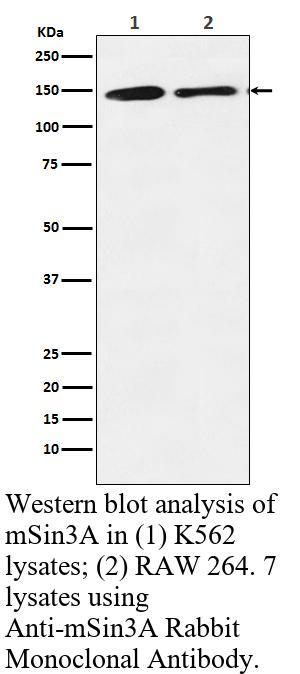 生物相关数据