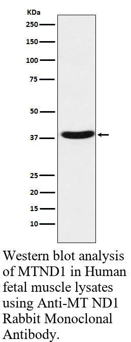 生物相关数据