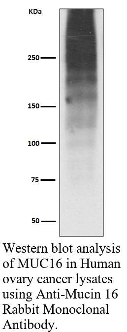 生物相关数据